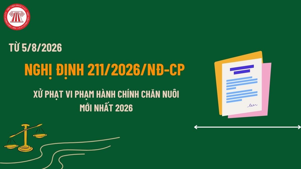Pháp luật