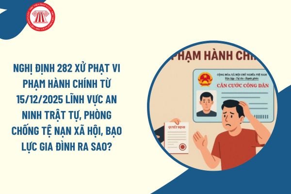 Pháp luật