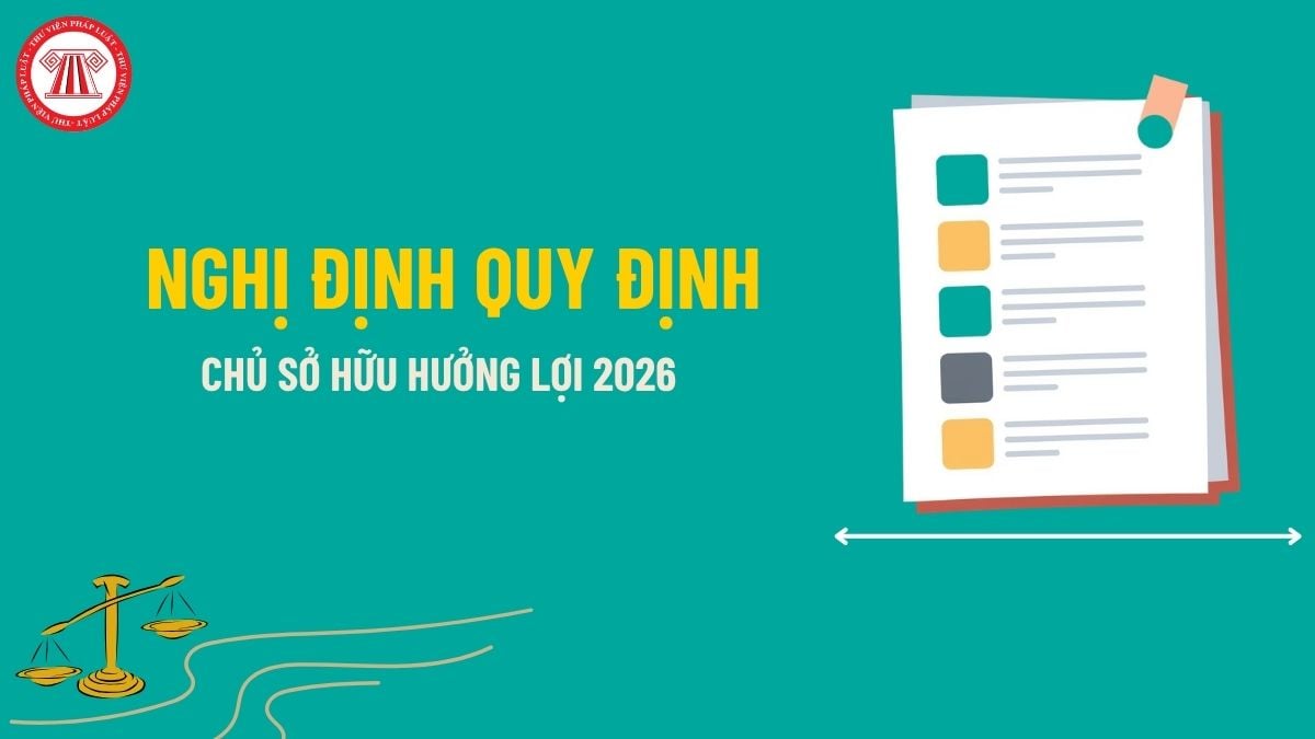 Pháp luật