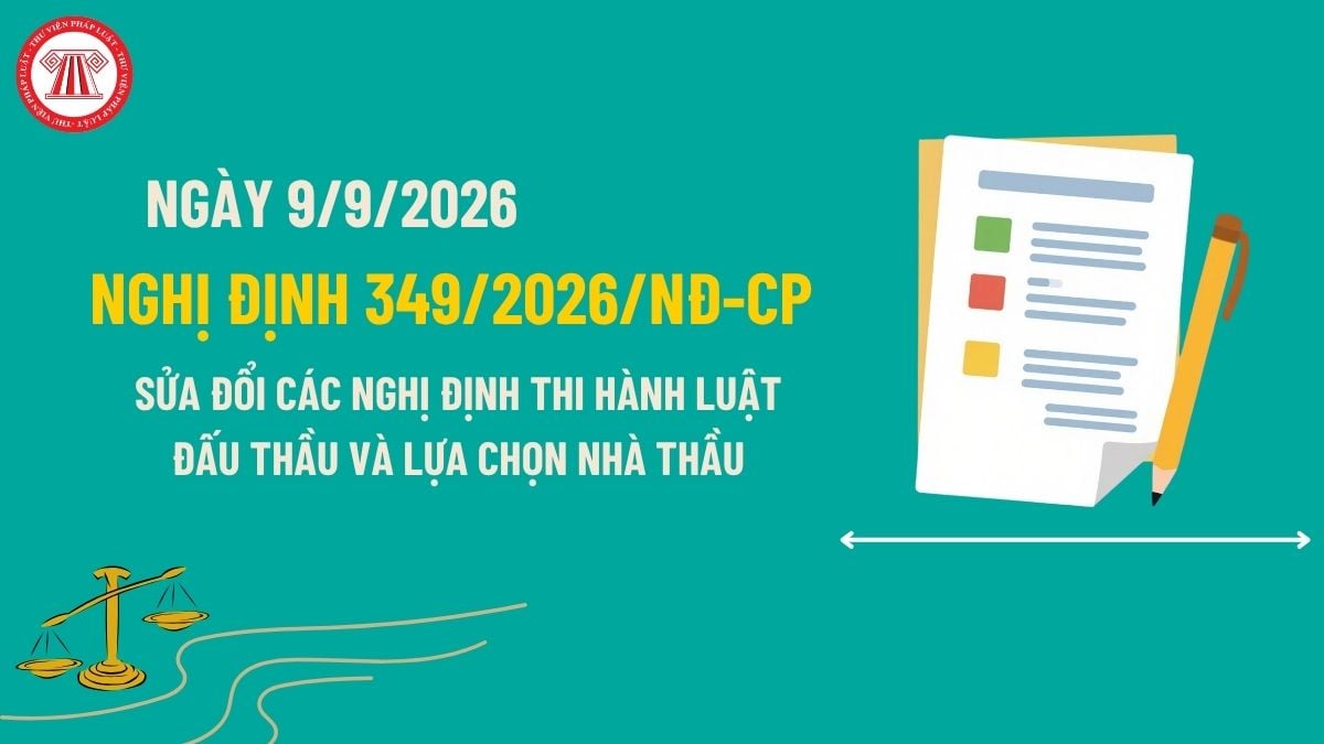 Pháp luật