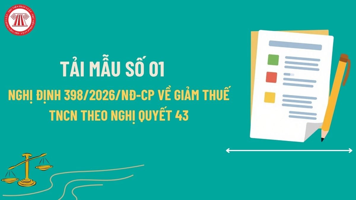 Pháp luật