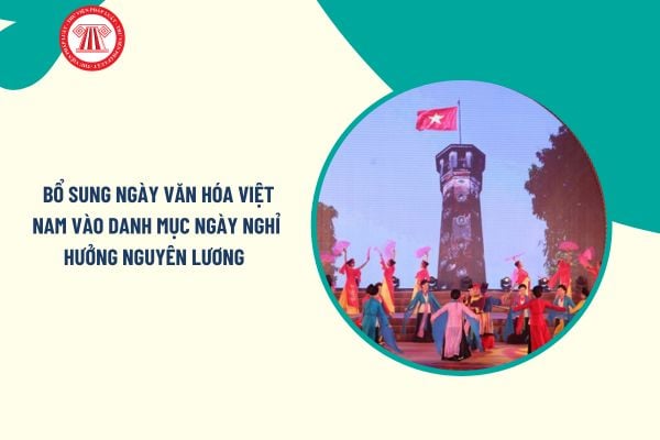 Pháp luật