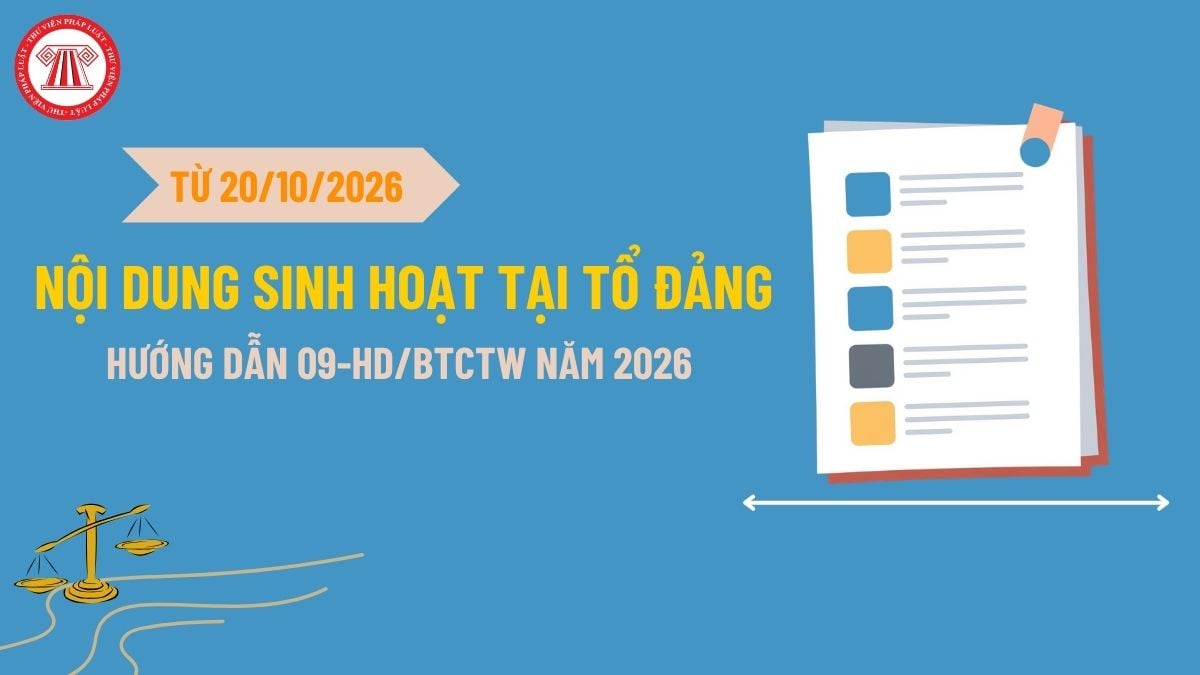 Pháp luật