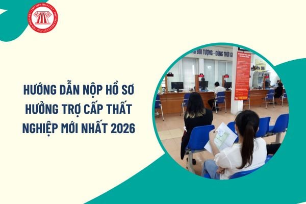 Pháp luật