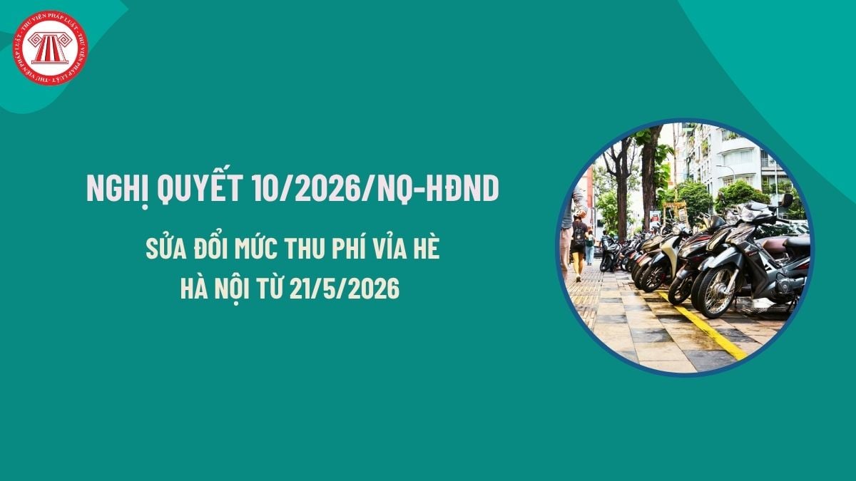 Pháp luật