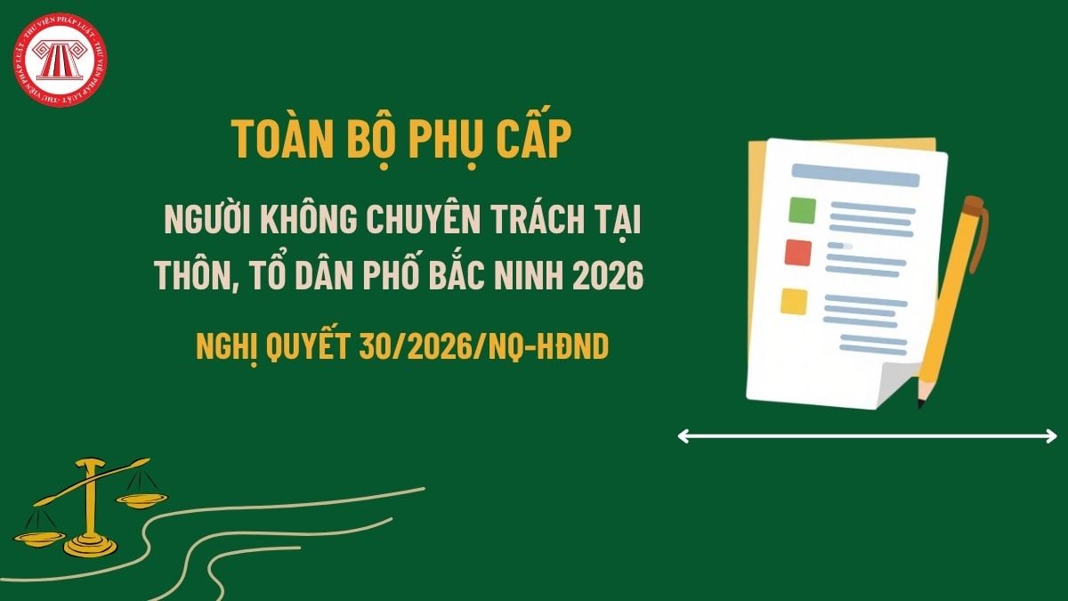 Pháp luật
