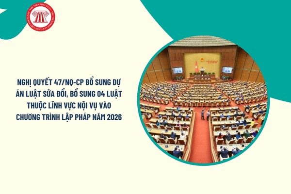 Pháp luật