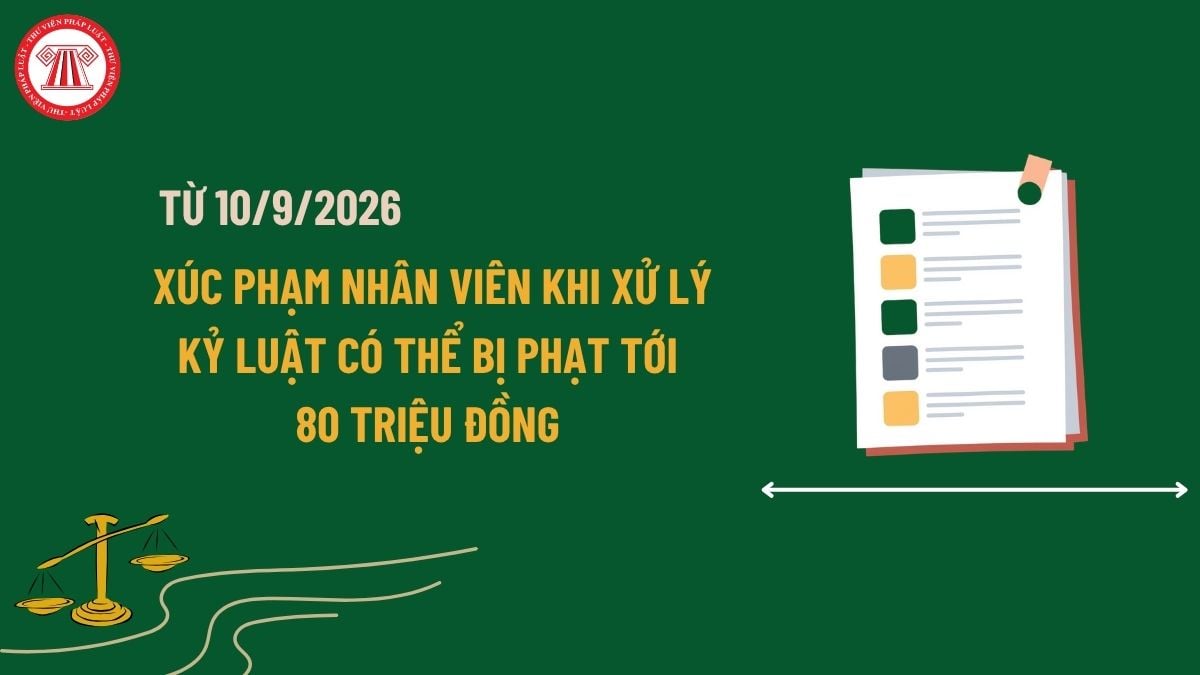 Pháp luật