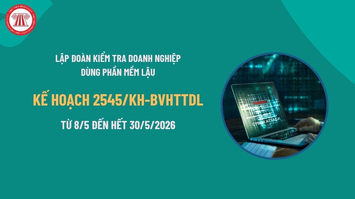 Pháp luật