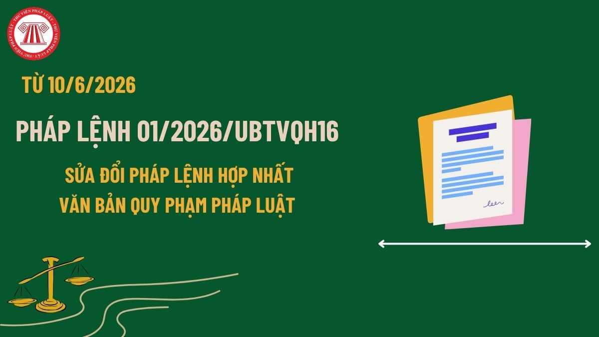 Pháp luật