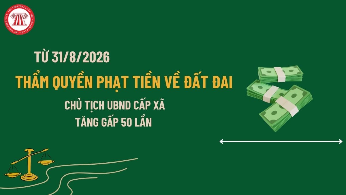 Pháp luật
