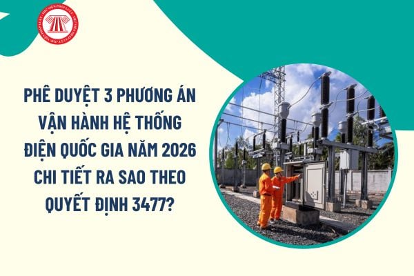 Pháp luật
