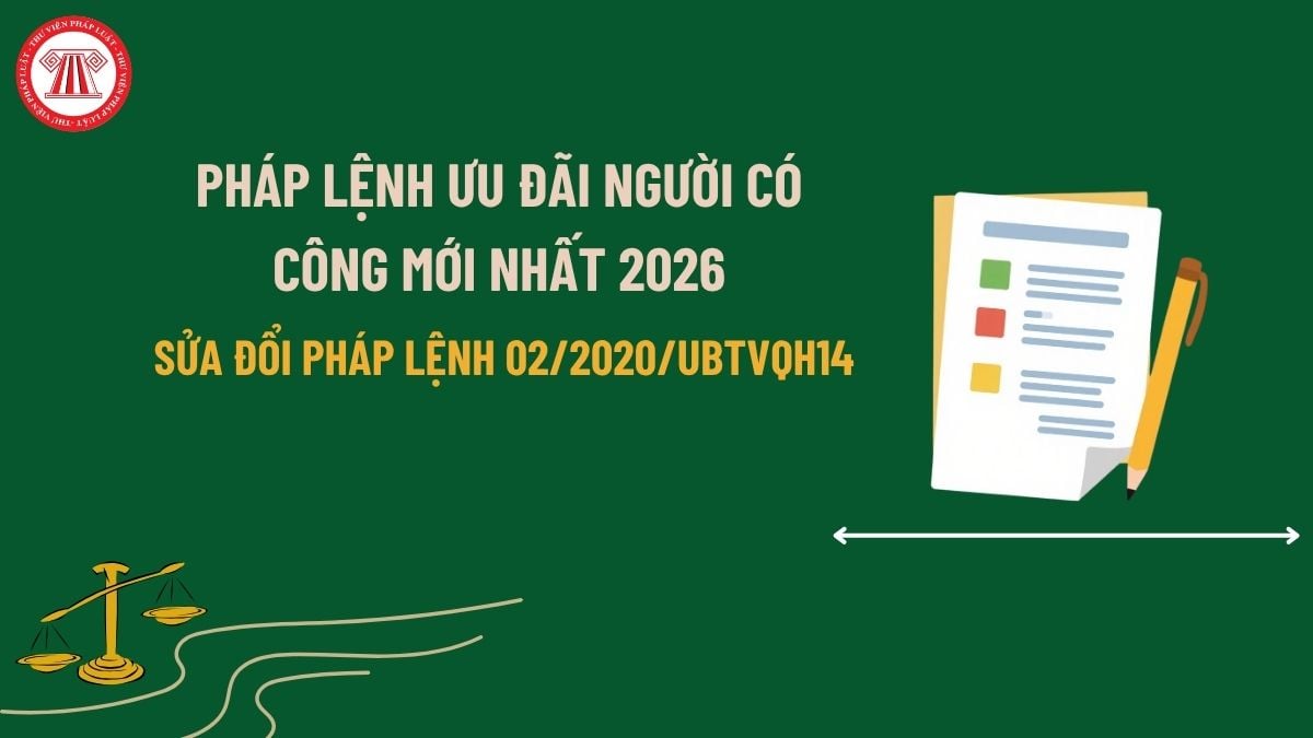 Pháp luật
