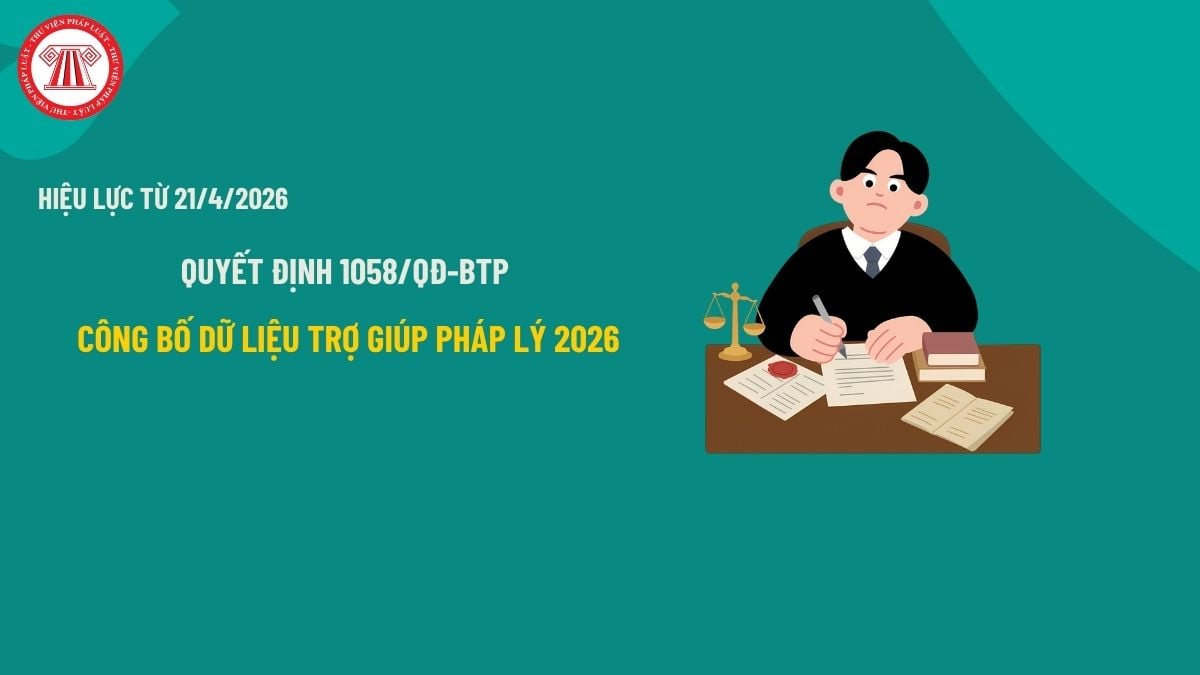 Pháp luật