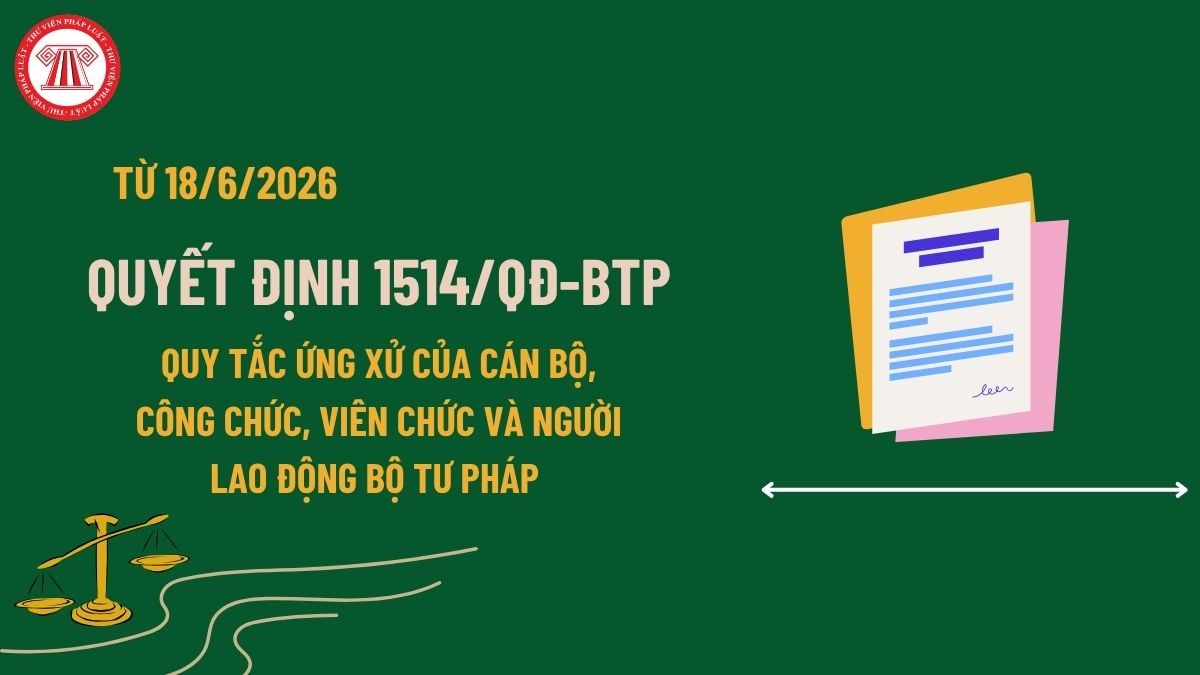 Pháp luật