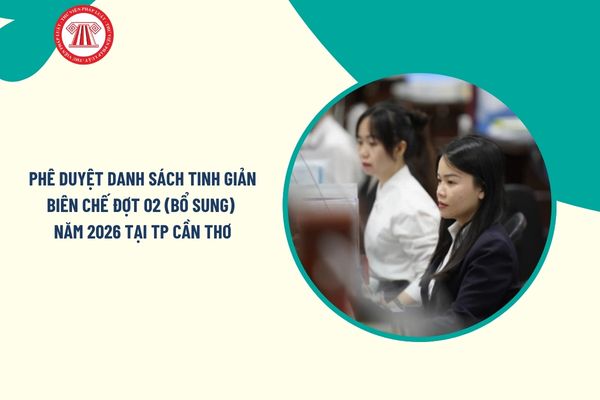 Pháp luật