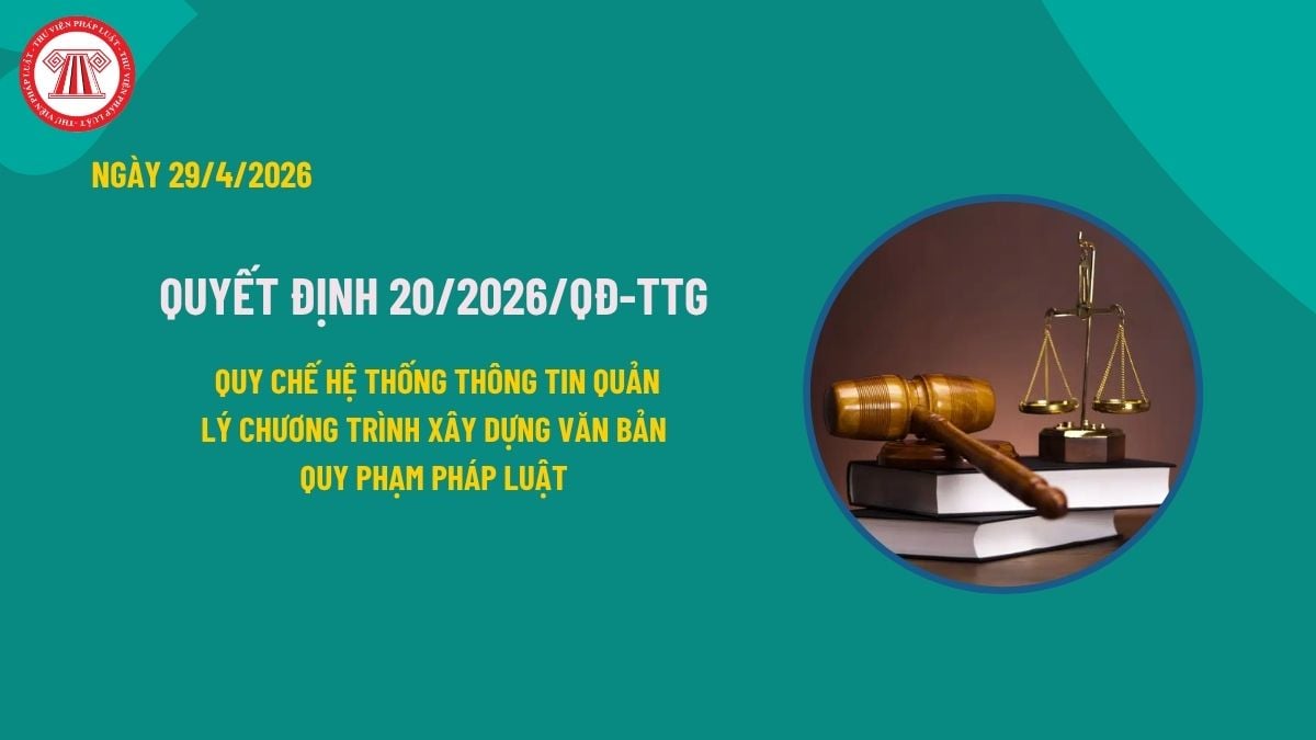 Pháp luật