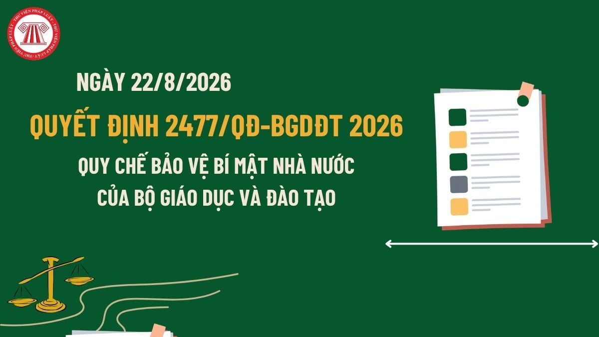 Pháp luật