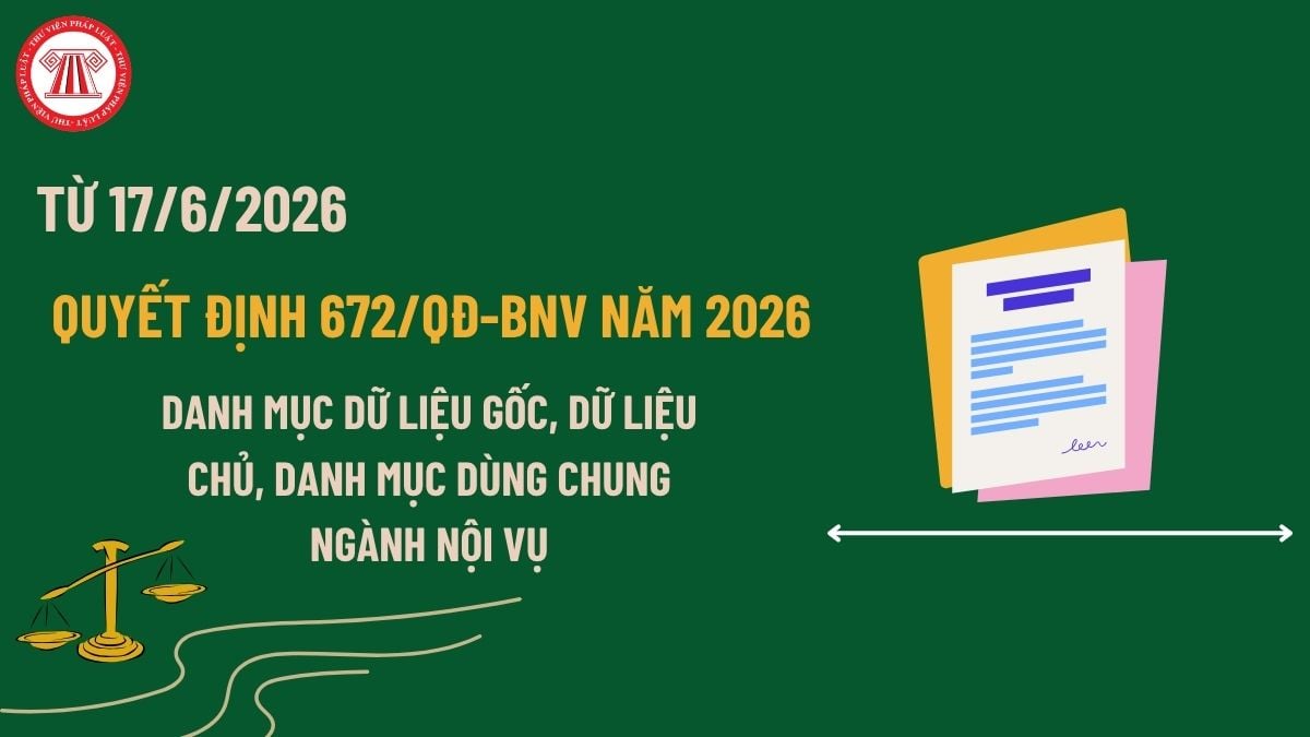 Pháp luật
