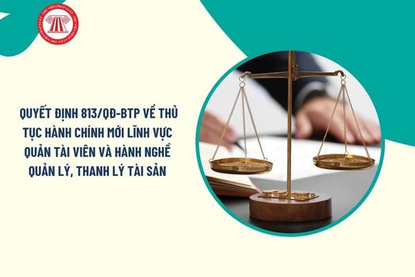 Pháp luật
