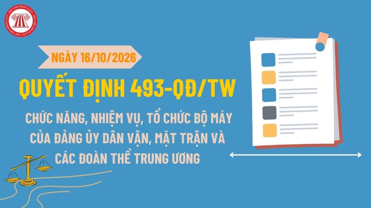 Pháp luật