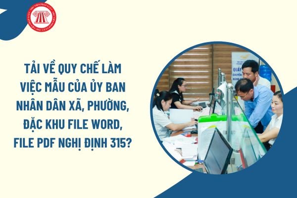 Pháp luật