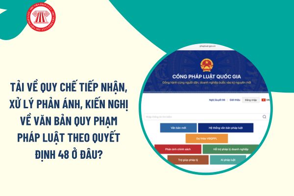 Pháp luật