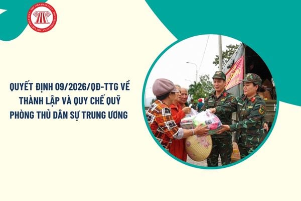 Pháp luật
