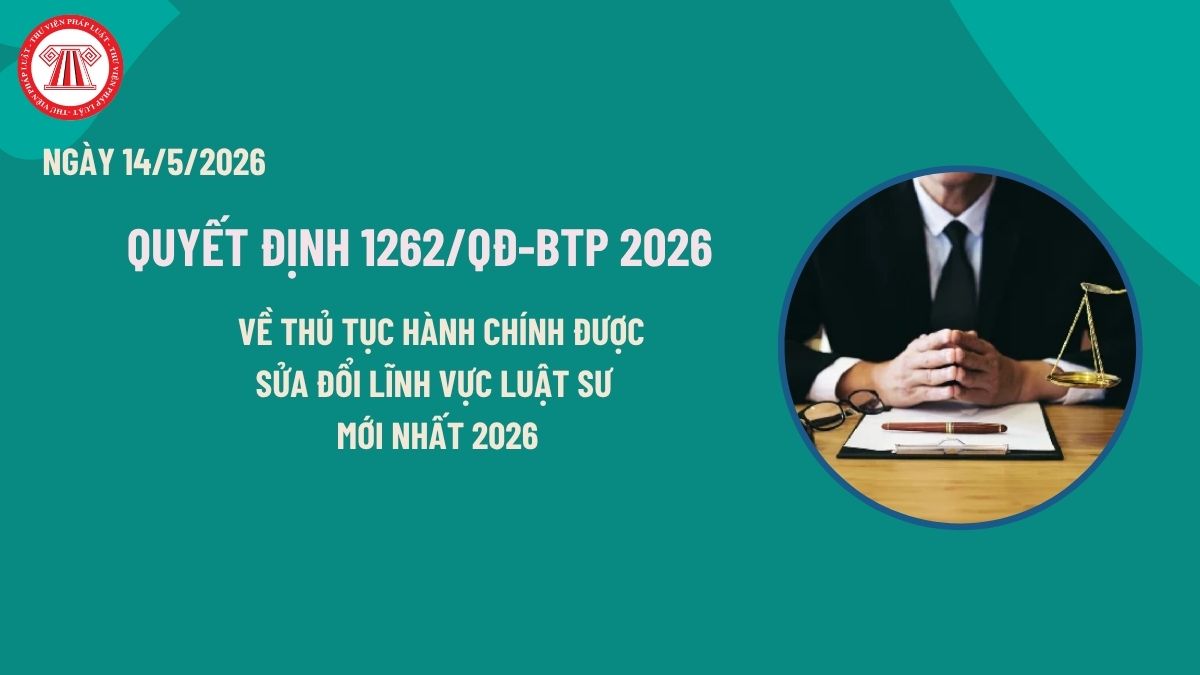 Pháp luật