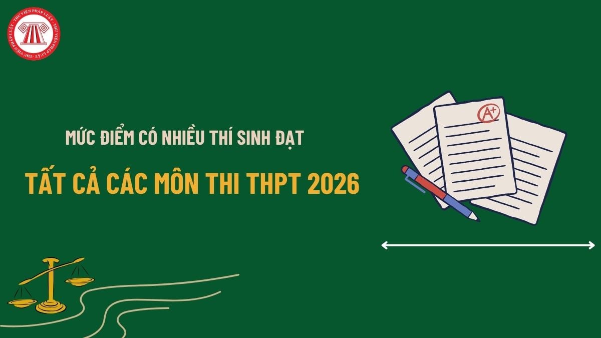 Pháp luật