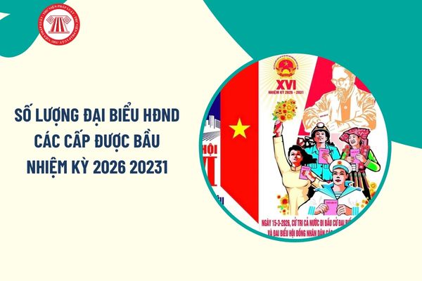 Pháp luật