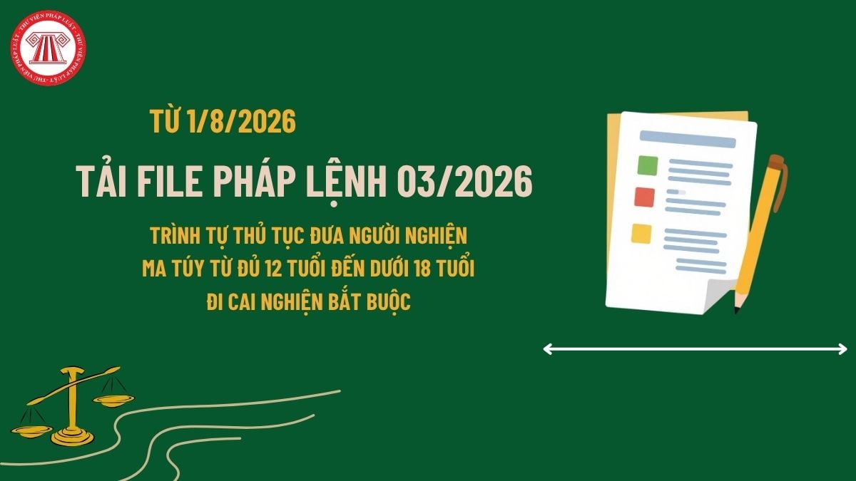 Pháp luật