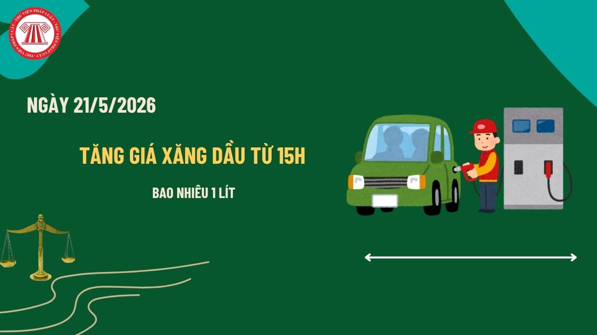 Pháp luật