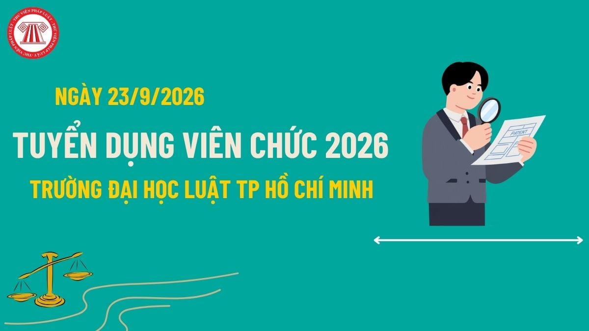 Pháp luật