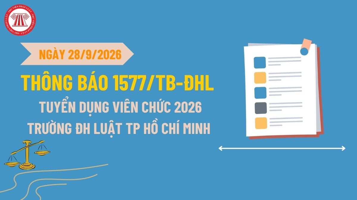Pháp luật