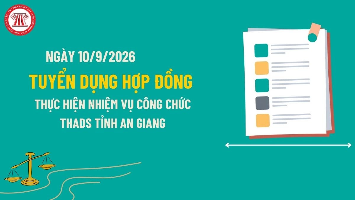Pháp luật