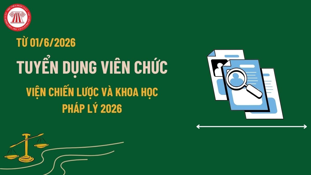 Pháp luật