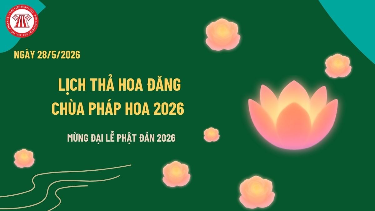 Pháp luật