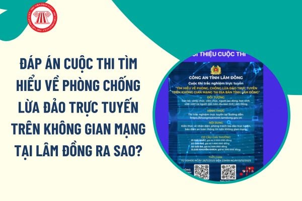 Pháp luật
