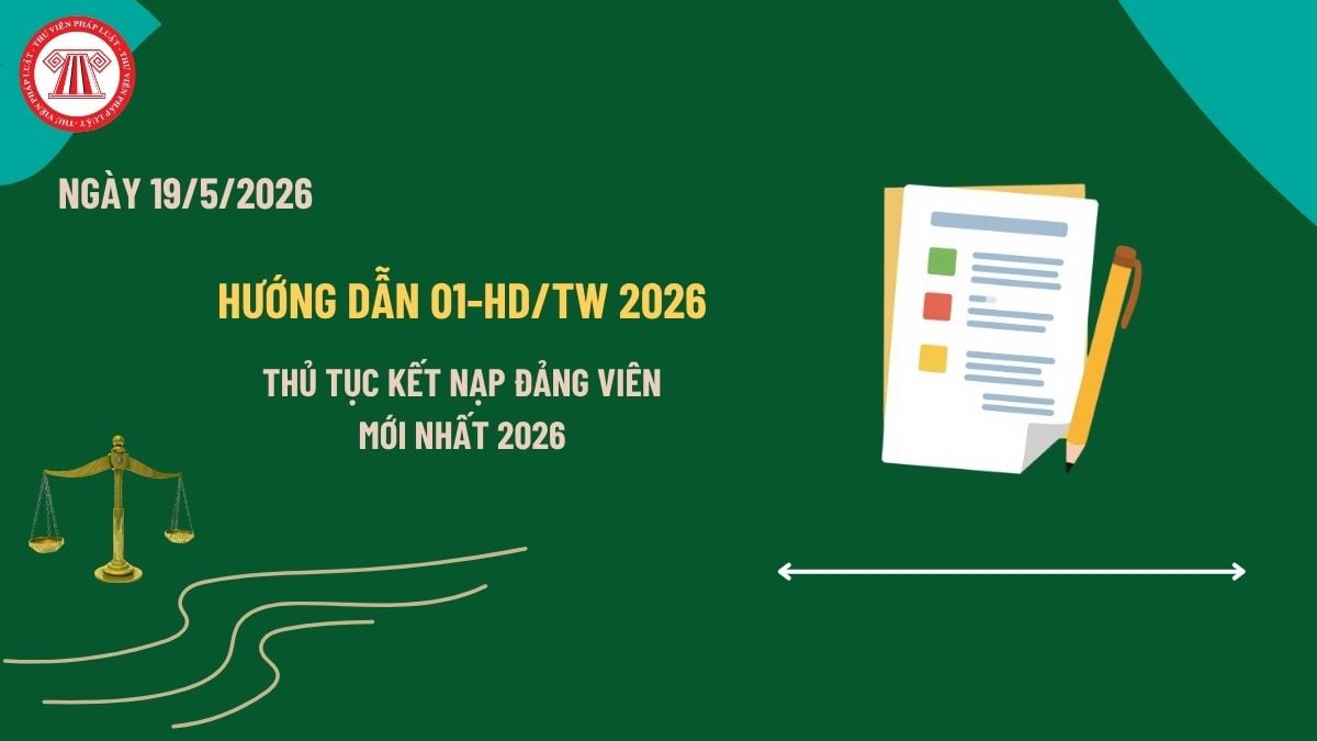Pháp luật