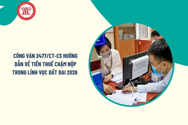 Pháp luật