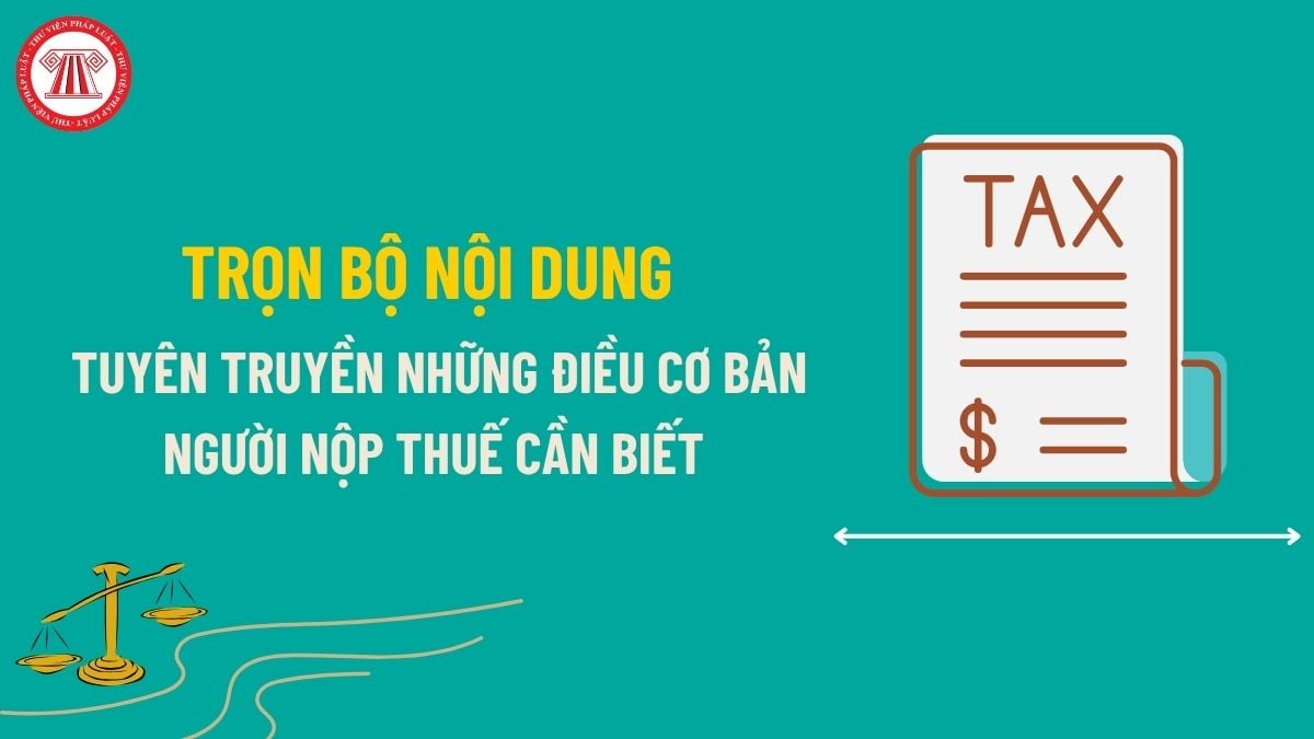 Pháp luật
