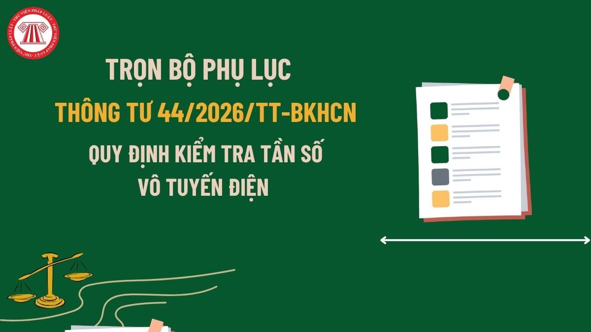 Pháp luật