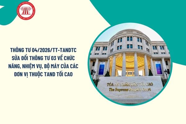 Pháp luật
