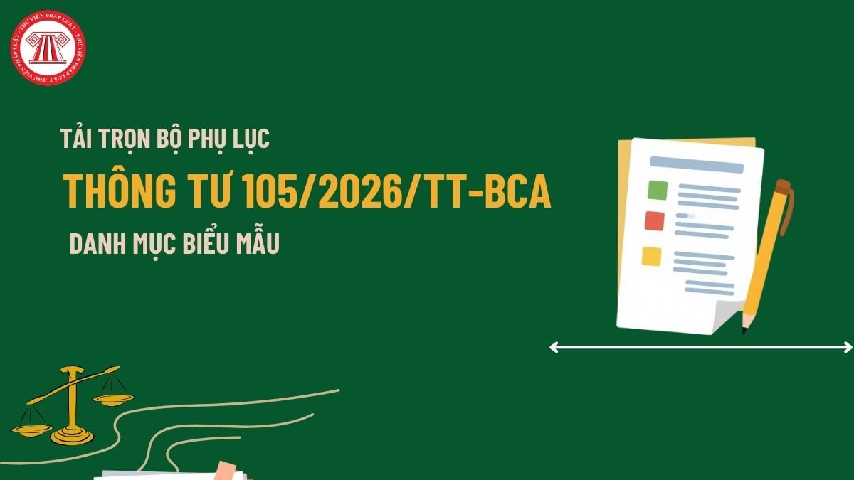 Pháp luật