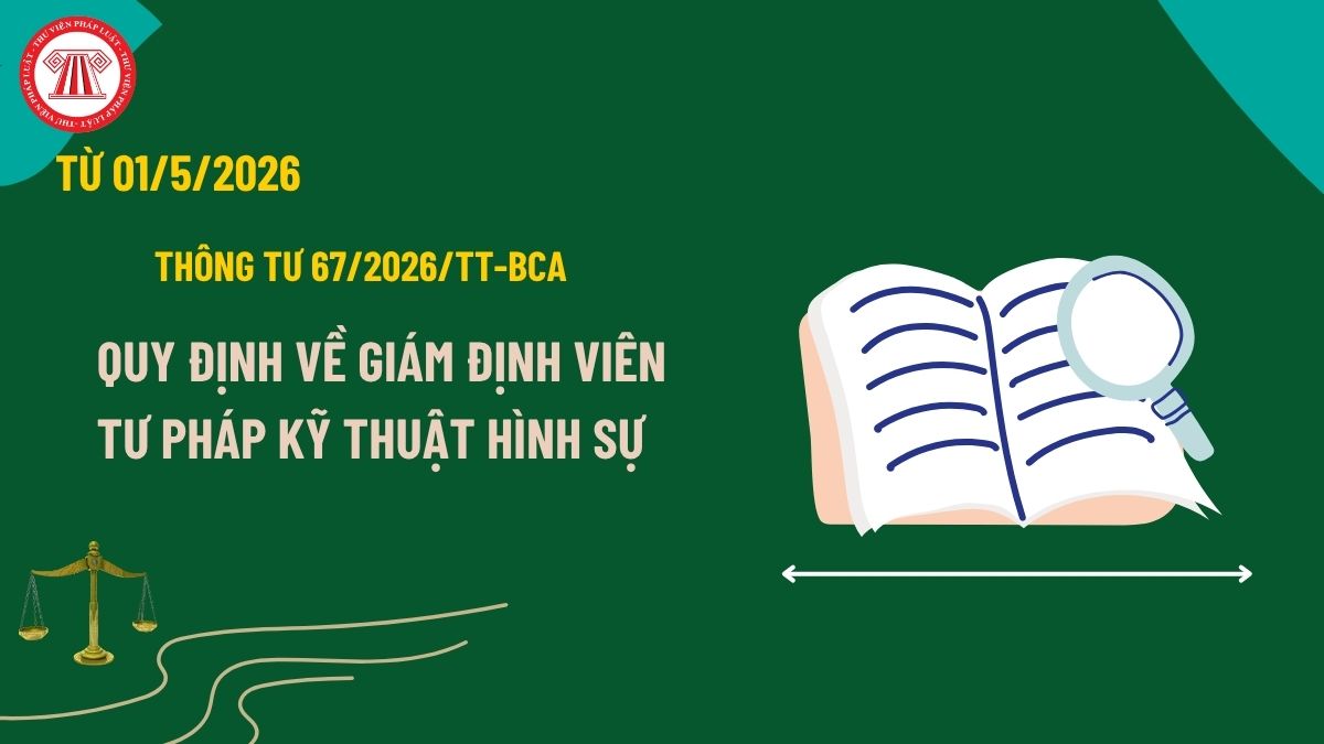 Pháp luật