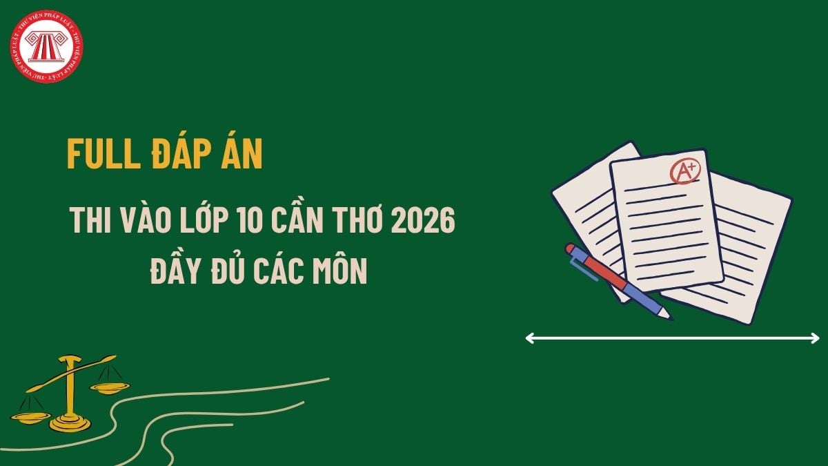 Pháp luật