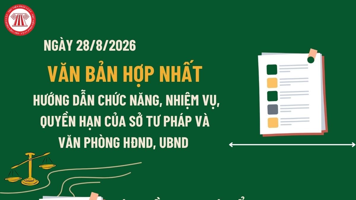 Pháp luật