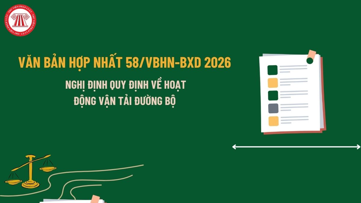 Pháp luật