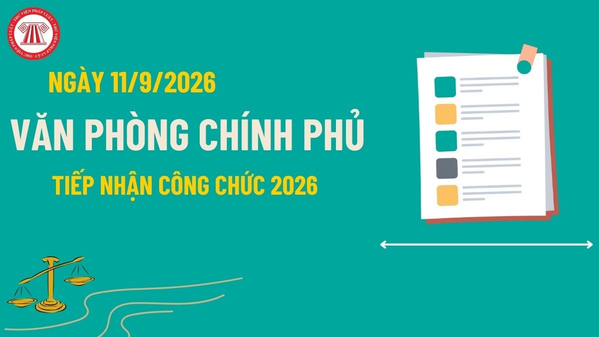 Pháp luật